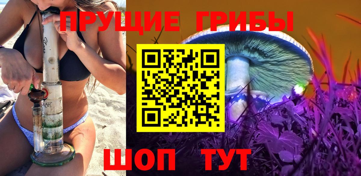 Галлюциногенные грибы Psilocybe Ульяновск